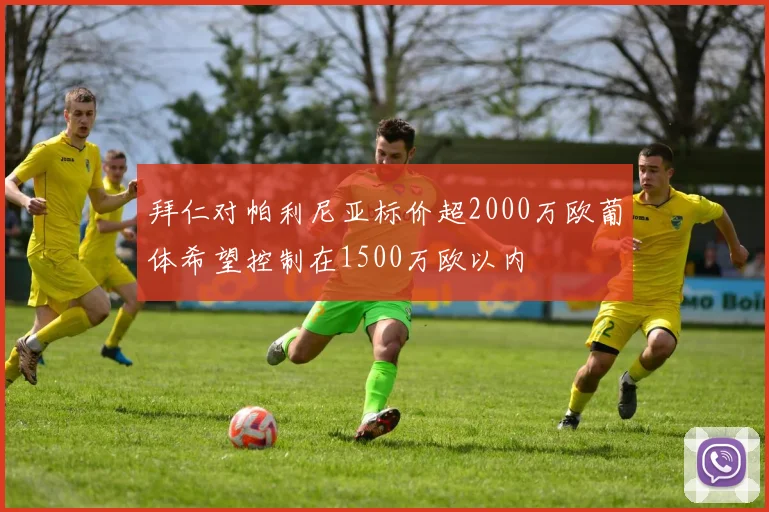拜仁对帕利尼亚标价超2000万欧葡体希望控制在1500万欧以内